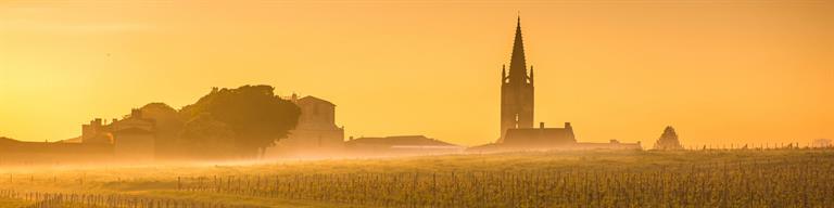 Saint-Emilion Fine Wine