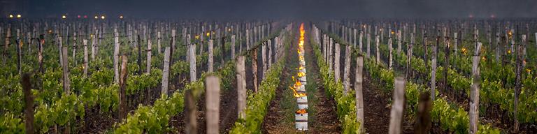 Pomerol Fine Wine