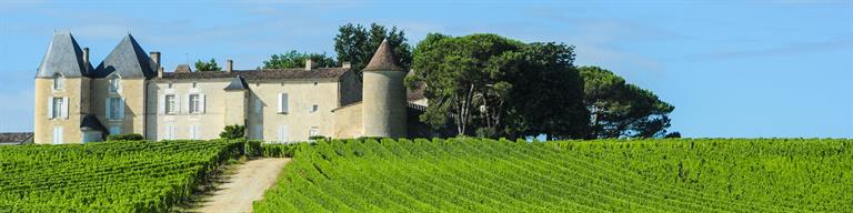 Sauternes Fine Wine