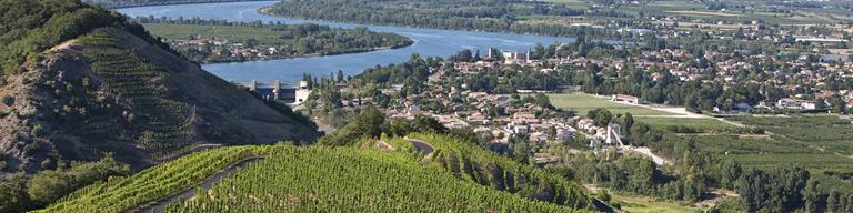 Rhone Vineyard Valley of Fine Wine