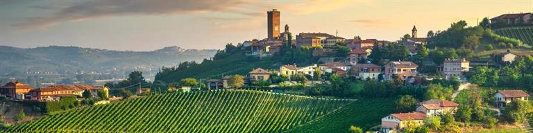 Barbaresco Vineyard Fine Wine