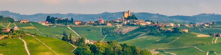 Barolo Vineyard Fine Wine