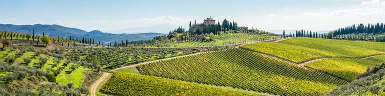 Tuscany Vineyard Fine Wine