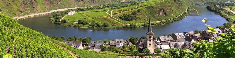 Germany Vineyard Fine Wine