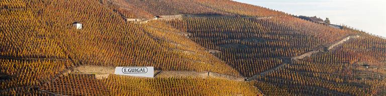 Cote-Rotie Vineyard Fine Wine