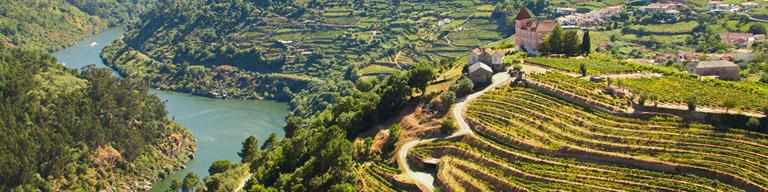 Portugal Douro Vineyard Fine Wine