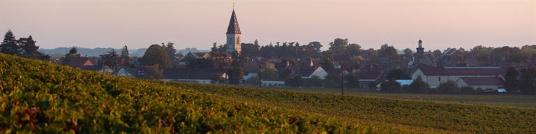 Nuits-Saint-Georges