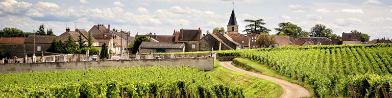 Vosne-Romanee