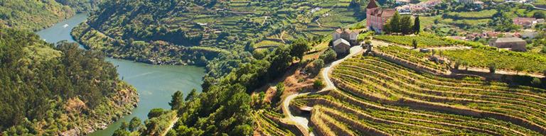 Portugal Fine Wine and Fortified Port